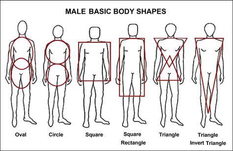 Male body shapes Male Body Shapes Drawing, Body Shapes Drawing, Body Types Men, Body Type Male, Body Types Male, Men Body Types, Body Types Chart, Male Body Types, Mens Body Types