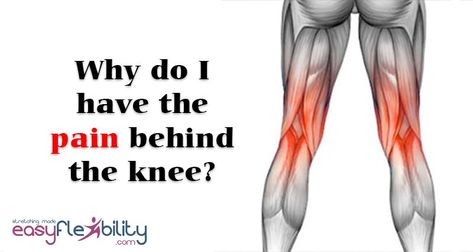 The pain behind the knee when doing the true front split. This is one of the most common questions that comes up about the True Front Split, I usually get questions like that pretty often. The answer depends on many factors. First of all where is the pain behind the knee located?... Pain Behind The Knee, Medial Knee Pain, Standing Split, Calf Muscles, Common Questions, Knee Pain, The Knee, Improve Yourself, Split