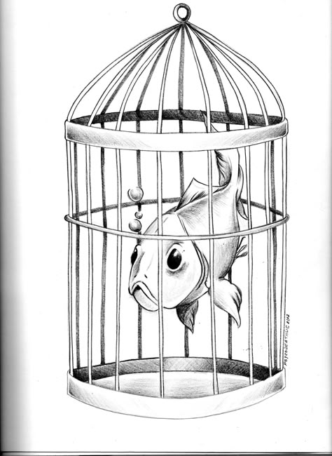 Fish Inside A Birdcage Art, Fish Inside A Birdcage, Bird Cage Drawing, Birdcage Drawing, Cage Drawing, Birdcage Tattoo, Cage Tattoos, Animal Drawings Sketches, Pen Illustration