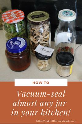 How to Vacuum Seal Almost Any Jar in Your Kitchen - Oak Hill Homestead Food Saver Hacks, Vacuum Seal Jars, Vacuum Sealing Food, Food Saver Vacuum Sealer, Canning Food Preservation, Long Term Food Storage, Freeze Drying Food, Dehydrated Food, Food Saver