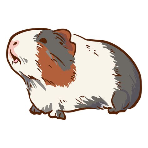 Side guinea pig illustration PNG Design Guinea Pig Drawing, Guinea Pig Illustration, Beautiful Easy Drawings, Pig Sketch, Side View Drawing, Pig Wall Art, Procreate Ideas, Pig Png, Pig Drawing