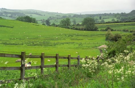 Twilight Meadow, Fallen Kingdom, Carrd Inspo, Travel Landscape, Cottagecore Aesthetic, Landscape Nature, Nature Aesthetic, Green Grass, Lake District