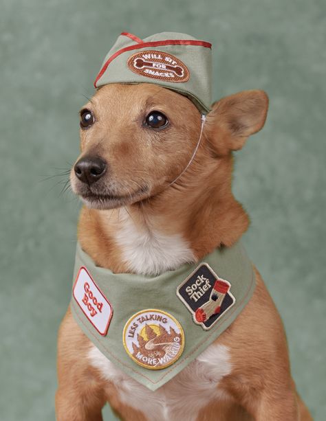 Bandana Jacket, Expensive Toys, Less Talk, Dog Patch, Merit Badge, Name Patches, Dog Costumes, Girl Scout, Iron On Patch