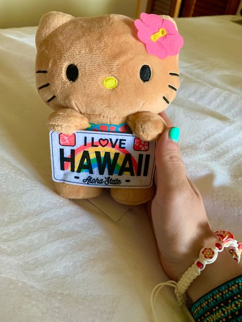 Hello Kitty Stuffed Animal, Hawaii Hello Kitty, Brown Keychain, Kitty Stuffed Animal, Animal Sitting, Hello Kitty Pink, Pink Brown, Stuffed Animal, Hawaii