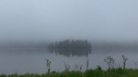 The Wendigo, Grassy Hill, The Trickster, Ontario Travel, Northern Ontario, Boreal Forest, Weeping Willow, Forest Fire, Dog Runs