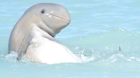 WA creates first oceanic marine park without a sanctuary zone Cashier Problems, Retail Humor, Stylist Quotes, I Love You Song, Short Girl Problems, Working In Retail, Work Memes, Memes Humor, Work Humor