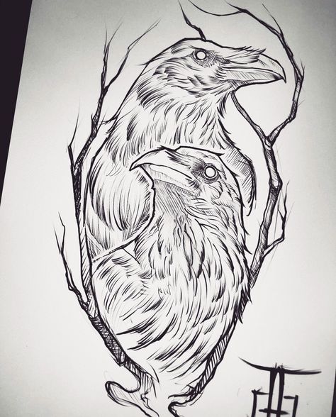 Raven Tattoo Stencil, Raven Drawing Sketch, Raven Line Art, Crow Drawing Sketch, Raven Outline, Raven Drawings, Odin's Ravens Tattoo, Raven Drawing, Rabe Tattoo