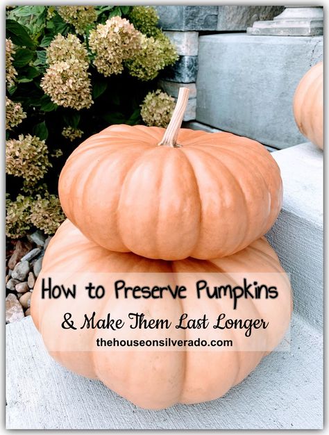 How To Preserve Pumpkins, Preserve Pumpkins, Preserving Pumpkins, Burlap Ribbon Wreaths, Carved Pumpkins, Porch Pumpkins, Pumpkin Cake Recipes, Beautiful Pumpkins, Painted Pumpkin