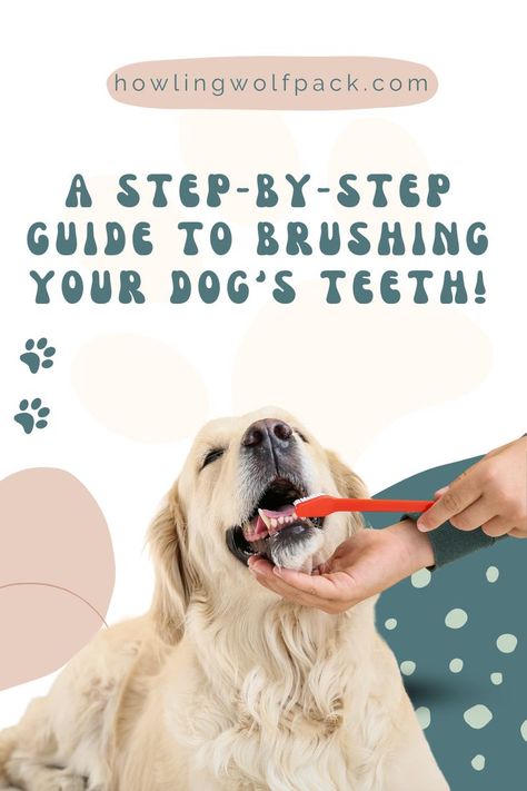 How To Brush Dogs Teeth - A Step-By-Step Guide. Making sure your dog has healthy teeth and gums is important. This step-by-step guide will show you how to brush your dog's teeth, making the process easy and stress-free. Inside this article we discuss which dog toothbrush and dog toothpaste to pick, plus how to set up a regular routine for keeping your pup's pearly whites clean! Brush Dogs Teeth, Brushing Dogs Teeth, Pet Dental Care, Dogs Teeth, Dog Toothpaste, Healthy Teeth And Gums, Dog Toothbrush, Dog Teeth Cleaning, Led Dog Collar