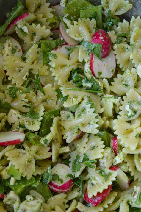 Pasta Salad With Radishes, Radish Green Recipes, Cooking With Radishes, Recipes Using Radishes, Radish Tops Recipes, Radish Greens Recipes, Radish Pasta, Radish Pesto, Barilla Lasagna Recipe