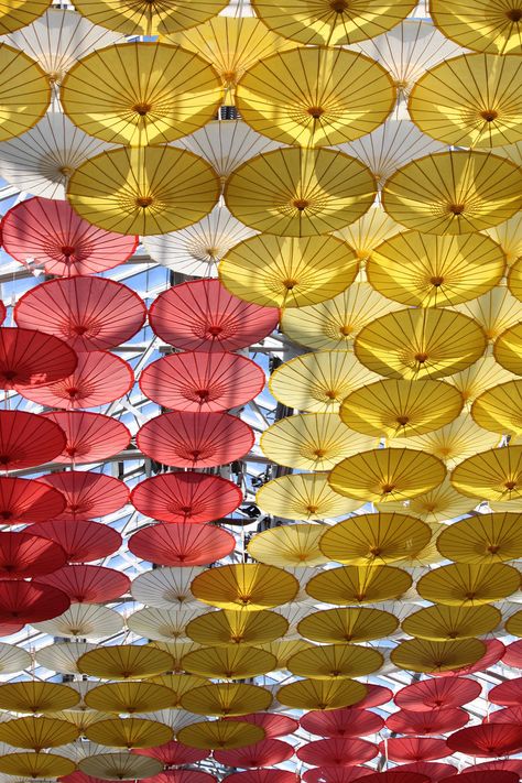 umbrella ceiling Hanging Umbrellas From Ceiling, Umbrella Ceiling, Farmers Market Wedding, Chinese Umbrella, 22nd Anniversary, Hanging Upside Down, Yellow Umbrella, Red Umbrella, Walking Street