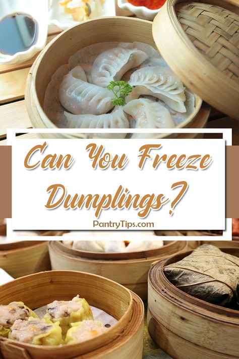 How To Freeze Dumplings, Can You Freeze Chicken And Dumplings, Make Ahead Dumplings, Freezer Dumplings, Chicken Nd Dumplings, Homemade Dumplings Recipe, Freezing Cooked Chicken, Freezing Chicken, Easy Dumplings