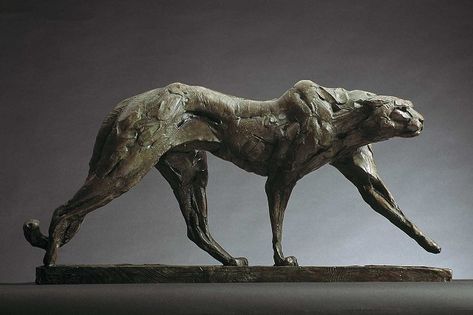 Dog Anatomy, Cat Anatomy, Big Cats Art, Relief Sculpture, Lion Art, Cheetahs, Art Antique, Bronze Statue, Sculpture Installation