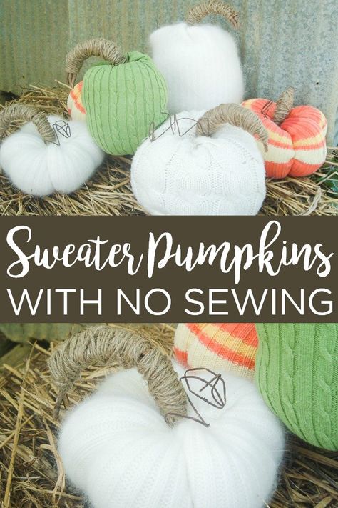 Learn how to make sweater pumpkins in all shapes and sizes. The best part is that there is no sewing required! #pumpkins #fall #crafts #nosew #sweater #upcycle #recycle Quick Halloween Crafts, Sweater Upcycle, Lantern Ghost, Sweater Pumpkins, Quick And Easy Crafts, Ghost Lights, Diy Sweater, Country Chic Cottage, Senior Activities