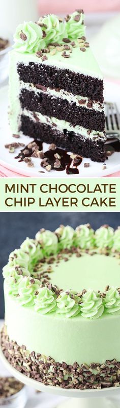 Mint Chocolate Chip Layer Cake Mint Dessert, Mint Desserts, Mint Chocolate Cake, Kek Lapis, Coconut Dessert, Mint Recipes, Chocolate Chip Cake, Mint Chocolate Chip, Homemade Cake Recipes