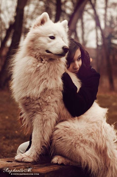 Dog Owner Photoshoot, Wild Wolves, Best Dogs For Families, Wolves And Women, Photos With Dog, Dog Photoshoot, 강아지 그림, Animal Portraits, Pet Photography