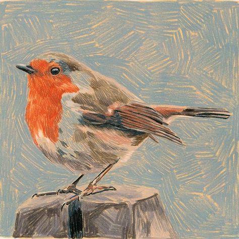 Jenny Granberry on Instagram: "This is the final art, color study and brainstorming sketch for one of my Bold Color Pencil lessons. We are not going to talk about the amount of time spent on the final piece and which of these 3 images I actually like the best." Colorful Pencil Sketches, Bird Pastel Drawing, Colorful Bird Drawing, Color Pencil Practice, Small Colored Pencil Drawings, Colored Pencil Art Animals, Pencil Colors Drawings, Coloured Pencils Drawing, Colouring Pencil Drawings