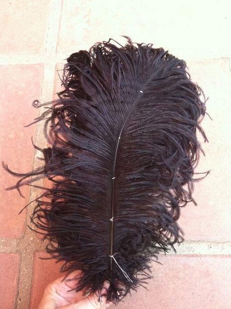 The Costumer's Closet: How to: Fluffy vintage-looking ostrich feathers Diy Ostrich Feather, Millinery Diy, Girly Crafts, Making Hats, Feather Diy, Feather Hat, Millinery Hats, Ostrich Feather, Ostrich Feathers