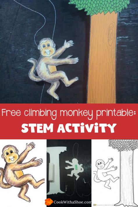 STEM is the future of our kids’ job openings. This means it’s up to us at KiddieCharts to offer free ways to complete STEM activities with your kids so that they’re prepared for the world of jobs that will be offered to them as adults. STEM activity: Free climbing monkey printable. #Science #Printable Monkey Activity For Preschool, Animal Stem Activities For Kids, Jungle Preschool, Monkey Printable, Simple Machines Activities, Hibernating Animals, Jungle Vbs, Mammals Activities, Free Climbing