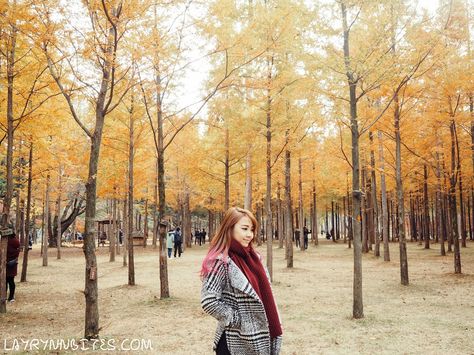 Nami Island Korea, Spring Korea, Travel Outfit Spring, Autumn In Korea, Korea Winter, South Korea Photography, Seoul Korea Travel, Nami Island, Travel Pose