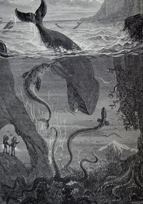 Edouard Riou Frontispiece: "My blood curdled when I saw enormous antennae." From "Twenty Thousand Leagues Under the Seas," 1873. Under The Sea Illustration, The Sea Illustration, Pnw Forest, 20000 Leagues Under The Sea, Under The Sea Art, Paper Theater, Sea Illustration, Forest Backdrop, Sci Fi Book