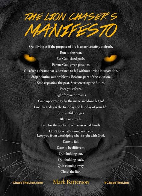 The Lion Chaser's Manifesto / Mark Batterson Lion Meaning, Mark Batterson, The Purpose Of Life, What I Like About You, Lion Quotes, Purpose Of Life, I Drive, Lion Of Judah, Quotes And Notes