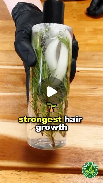 Hair Fertilizer, Hair Recipes, Rosemary Oil For Hair, Long Hair Tips, Hair Growing Tips, How To Grow Natural Hair, Hair Growing, Growing Tips, Healthy Hair Tips