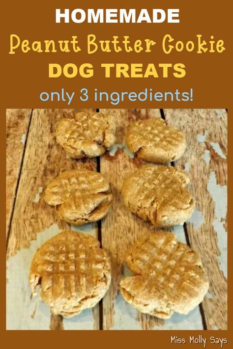 The pups will LOVE these tasty dog cookies! And, when it comes to dog treat recipes, less is more! So,I've combined 3 simple ingredients (plus hot water) to make these delicious Peanut Butter Cookie Dog Treats. These treats keep well in the refrigerator for at least a week. Banana Dog Treat Recipe, Dog Cookie Recipes, Homemade Dog Cookies, Homemade Pet Treats, Homemade Peanut Butter Cookies, Dog Treat Recipe, Dog Treats Homemade Easy, Easy Dog Treat Recipes, Dog Biscuits Homemade