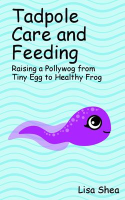 Tadpole Care and Feeding Tadpoles To Frogs, Tadpole Habitat, Tadpole Tattoo, Frog Bulletin Boards, Tadpole To Frog, Frog Eggs, Frog Habitat, Spider Book, Educational Activities For Toddlers