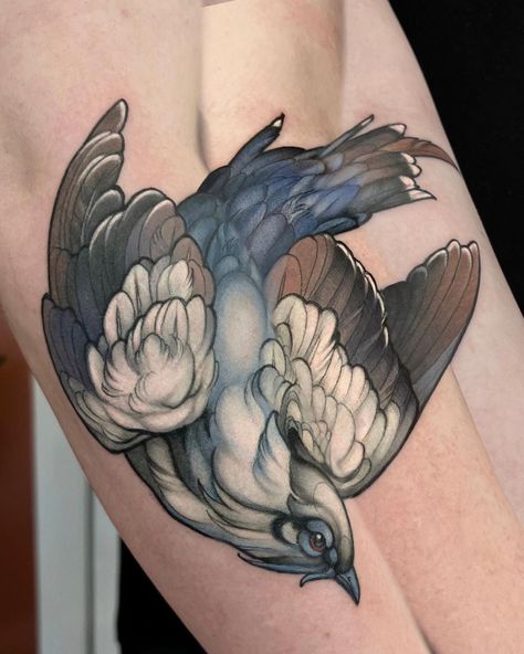 Fallen birbbbb. From a while ago, loved working with these cooler colors! Thanks for lookin!!… | Instagram Neotrad Bird Tattoo, Neotraditional Bird Tattoo, Neotrad Flowers, Neo Traditional Bird, Bird And Flower Tattoo, Fake Skin Tattoo, Neo Traditional Art, Heron Tattoo, Tattoo Apprenticeship