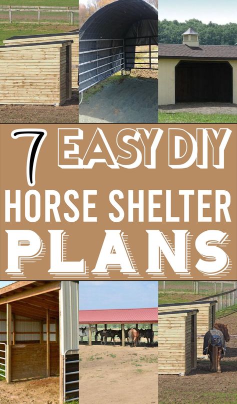 How To Build A Horse Shelter, Run In Horse Shelter, Temporary Horse Shelter, Run In Shed For Horses Diy, Horse Shed Ideas, Horse Pasture Shelter, Horse Shelter Ideas Cheap, Horse Stalls Cheap, Horse Shelter Plans