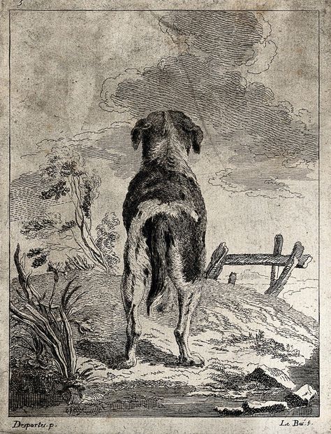 A dog seen from behind looking up to the clouds. Etching by A. F. Le Bas after J. P. Desportes. Dog From Behind Drawing, Limping Dog, Dog Sketch, Dog Walks, J P, Painting Landscape, Dog Barking, Dog Drawing, Oil Painting Landscape