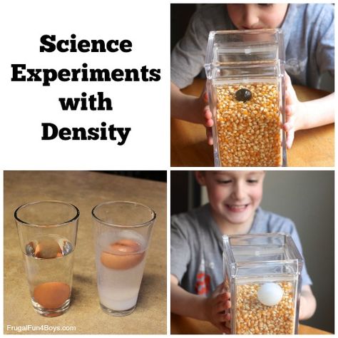 Two Science Experiments with Density. Simple Science Experiments For Kids, Density Experiment, Simple Science Experiments, We Are Scientists, Science Experiments For Kids, Science Camp, Simple Science, Scientific Experiment, Kid Experiments