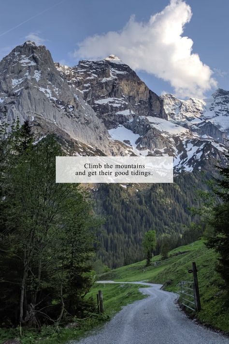 Switzerland Quote, Hiking Quotes Adventure, Switzerland Wallpaper, Switzerland Interlaken, Mountains Quotes, Places To Visit In Switzerland, Switzerland Mountains, Alps Switzerland, Lake Lucerne