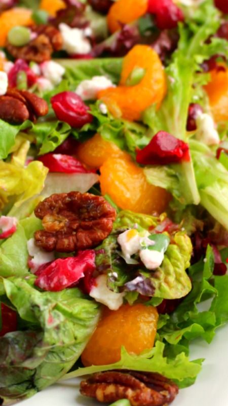 Cranberry Citrus Salad with Goat Cheese Crumbles and sweet Brown Sugar Pecans ~ flavorful and delicious! Brown Sugar Pecans, Goat Cheese Crumbles, Cranberry Salad Recipes, Sugar Pecans, Christmas Salad Recipes, Salad With Goat Cheese, Christmas Salad, Christmas Side Dishes, Christmas Salads