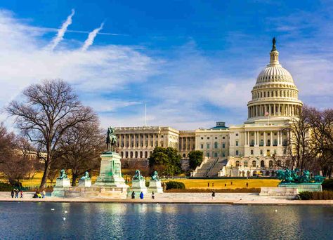 The Capitol White House Tour, Dog Friendly Hotels, Howard University, Us Capitol, Pet Friendly Hotels, Family Hotel, Capitol Building, Grand National, Destination Voyage