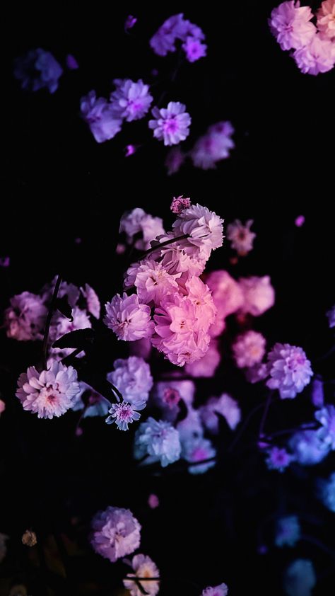 Cute Lock Screen Wallpaper Phone Wallpapers Pattern, Blue Butterfly Wallpaper, Purple Flowers Wallpaper, Iphone Wallpaper Stills, Iphone Wallpaper Landscape, Wallpaper Nature Flowers, Neon Wallpaper, Phone Wallpaper Patterns, Cool Wallpapers Cartoon