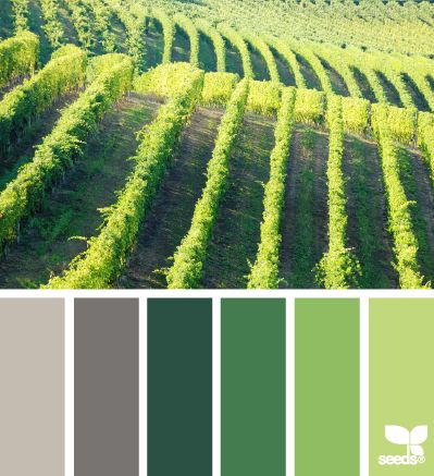 Vineyard tones Design Seeds Color Palette, Seeds Color, Paint Palettes, Colour My World, Paint Chip, Green And Gray, Design Seeds, Color My World, Colour Inspiration