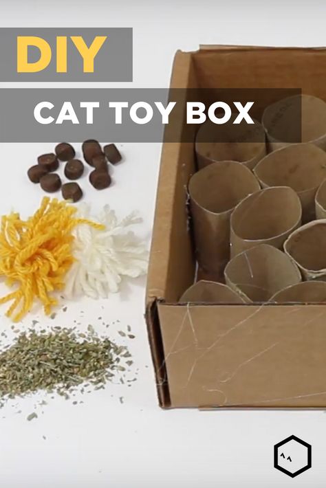 Keep your kitty's paws busy with this fun DIY cat toy. This craft uses simple items you probably already have around your home. The best part is, this toy not only stimulates your cat physically, but also mentally. Try making this simple cat craft for a happier pet! Toy Box Ideas, Katt Diy, Birthday Teen, Katt Grejer, Homemade Cat Toys, Cat Apparel, Diy Cat Toys, Guinea Pig Toys, Cat Puzzle