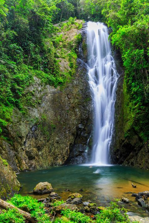 Suva, Fiji. Magic Waterfall and natural pool in Suva, Fiji , #spon, #Magic, #Fiji, #Suva, #pool, #natural #ad Fiji Waterfall, Magic Waterfall, Fiji Mountain, Fiji Landscape, Pool Natural, Fiji Mountain Japan, Survivor Cbs, Suva Fiji, Fiji Holiday