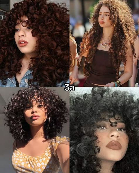 Whats your curly hair type? I seen so many people getting wrong how 3a/3b/3c look like so here you go this how they look like 🫶 #curlyhair #hair #cachos #cabelo #3a #3b #3c 3 B Curly Hair, 3a 3b Hair, Long 3a Curly Hair, 3a Curly Hair Styles, 5c Hair, 3b Short Hair, Long Big Curly Hair, Curly Hair 3b/3c, 3b Afro