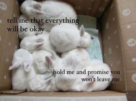 Dog Poetry, White Rabbits, Unspoken Words, Be Okay, Think Of Me, Silly Me, Forgiving Yourself, Lose My Mind, Just Girly Things