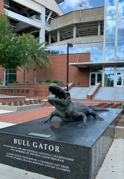 Uf College Aesthetic, Uf Aesthetic, Alligator Aesthetic, University Of Florida Aesthetic, College Stadium, College Prints, Florida University, Campus Aesthetic, Florida College