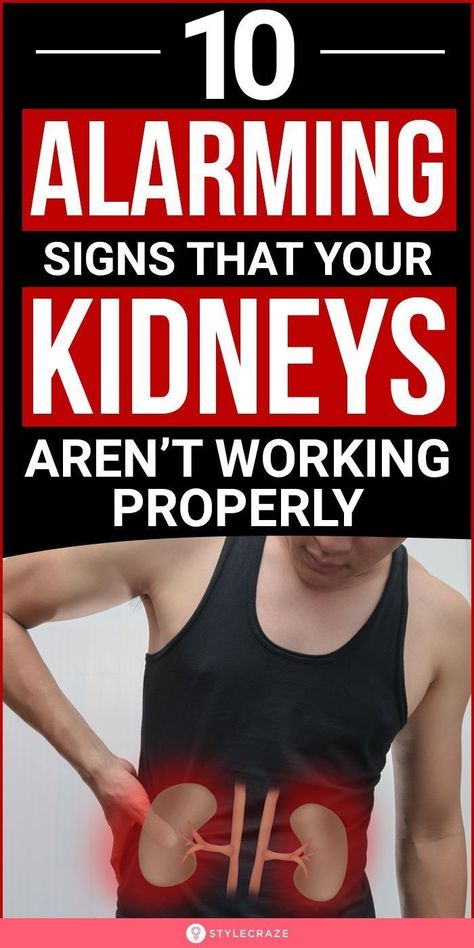 Kidney Problems Signs, Kidney Pain, Kidney Cleanse, Kidney Damage, Health Signs, Eating Tips, Kidney Health, Good Health Tips, Health Advice