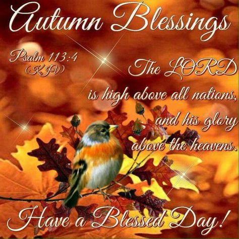 Autumn Blessings! Baby Blessing Quotes, Inspirational Good Morning Quotes, Fall Blessings, Autumn Blessings, Fall Quote, Monday Blessings, God Made You, Baby Blessing, Scripture Pictures