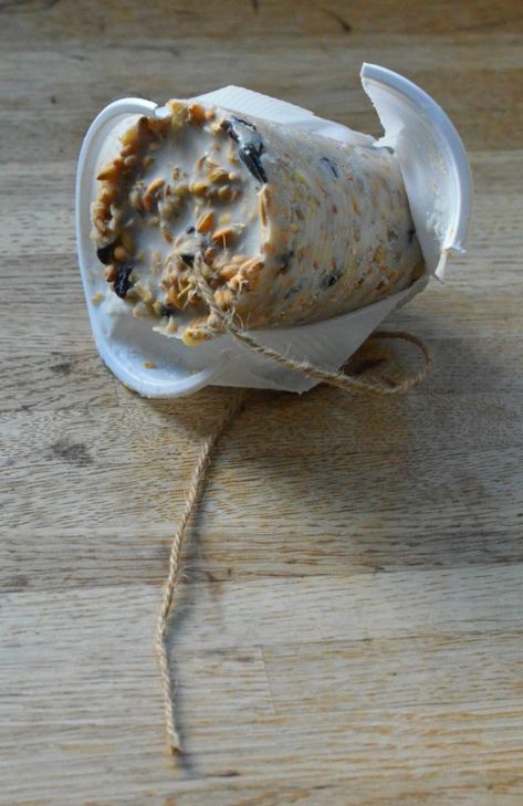 Homemade bird feeders - Growing Family Homemade Bird Food, Suet Recipe, Suet Bird Feeder, Bird Suet, Suet Cakes, Bird Seed Ornaments, Bird Seed Feeders, Homemade Bird Feeders, Bird Treats