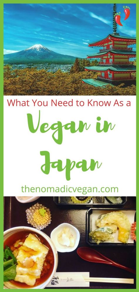 What You Need to Know as a Vegan in Japan and Mistakes to Avoid Japan Vegan Food, Vegetarian In Japan, Vegan In Japan, Asia Honeymoon, Traveling Japan, Japan Honeymoon, Tokyo Trip, Japan Tourism, Eating Vegan