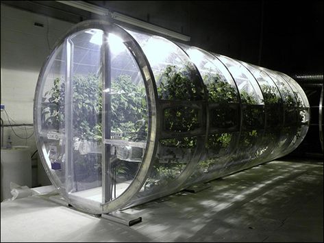 Smart Farm, Hydroponic Farming, Hanging Beds, Vertical Farming, Urban Agriculture, Farm Design, Earthship, Wall Garden, Hydroponic Gardening