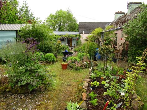 Bealtaine Cottage, Cottage Ireland, Garden Potager, Garden Details, Lots Of Food, Veg Patch, Garden Nook, Urban Cottage, Gardening Inspiration