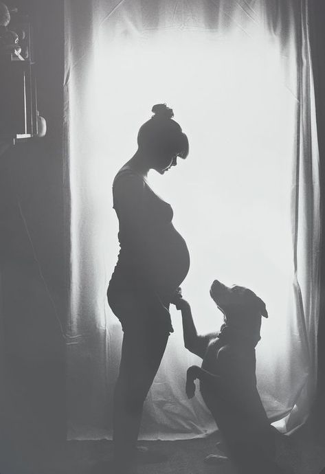 Pregnancy Photoshoot Ideas You Can Actually Use - Tulamama Baby Belly Photos, Unique Maternity Photos, Belly Photos, Maternity Photography Poses Pregnancy Pics, Baby Bump Photos, Pregnant Dog, Photos With Dog, Bump Photos, Baby Sleep Problems